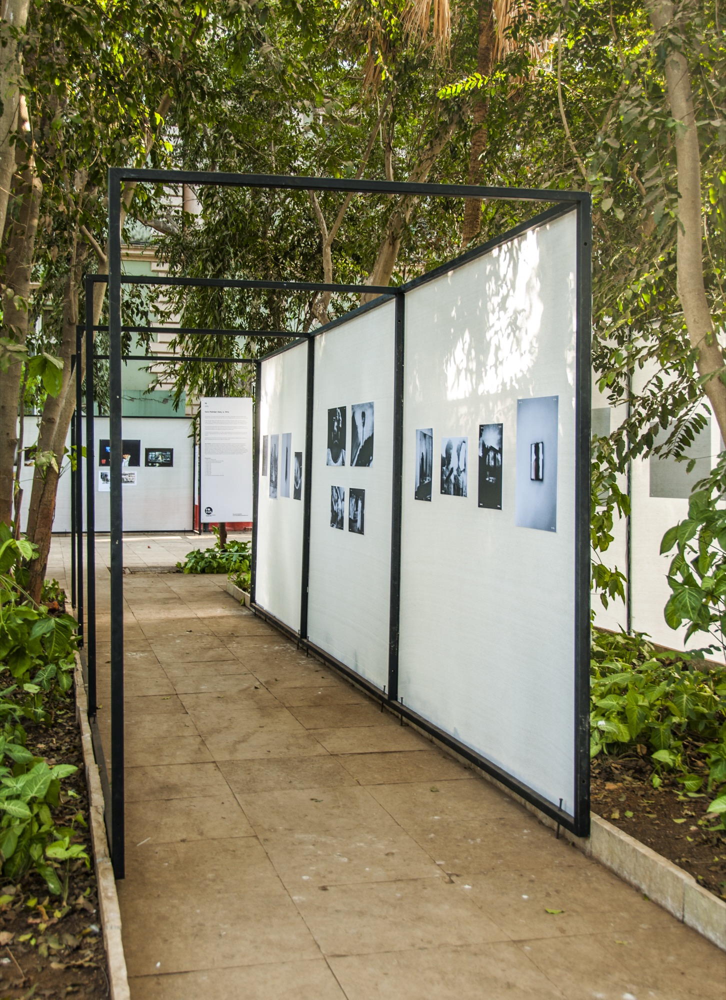 Focus Photography festival — Culture + Exhibition design by Studio Pomegranate