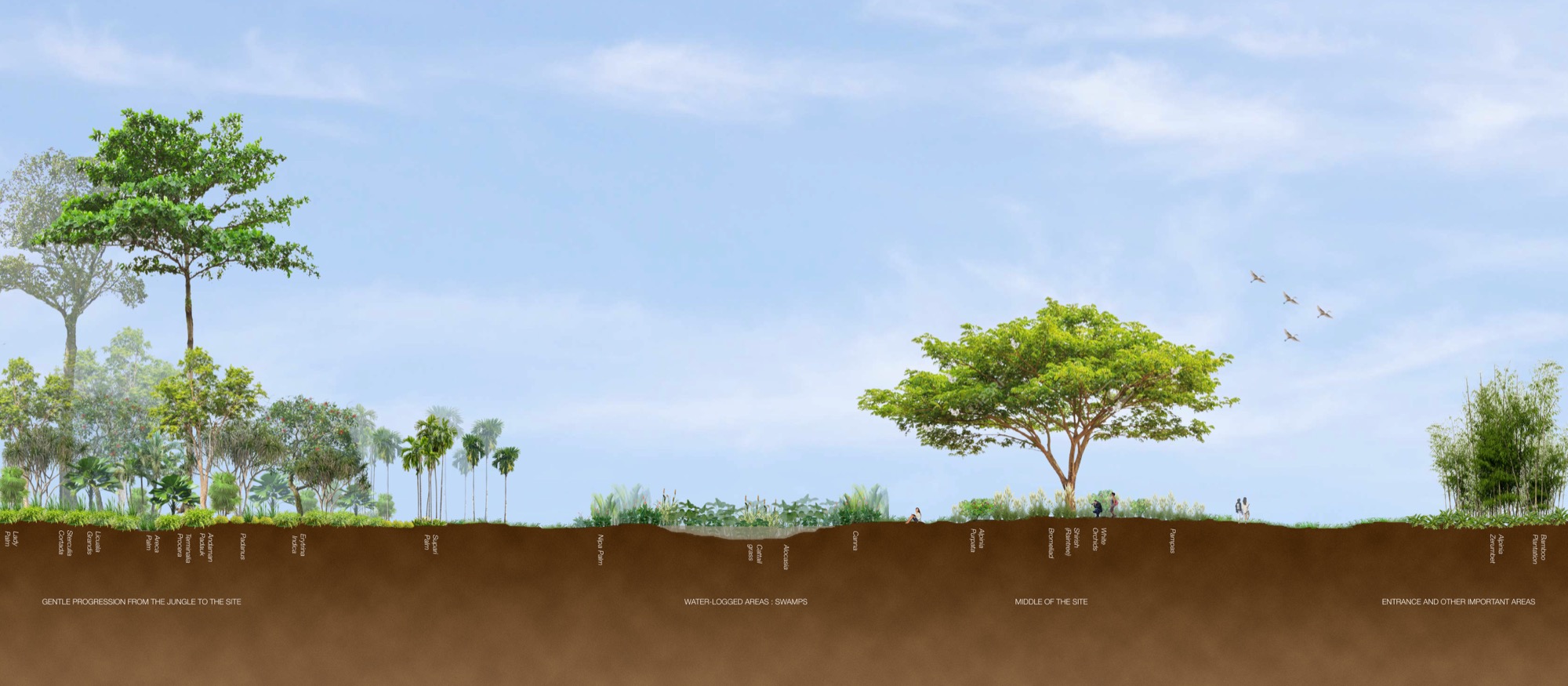 Island Resort, Andman Islands — Hospitality by Studio Pomegranate
