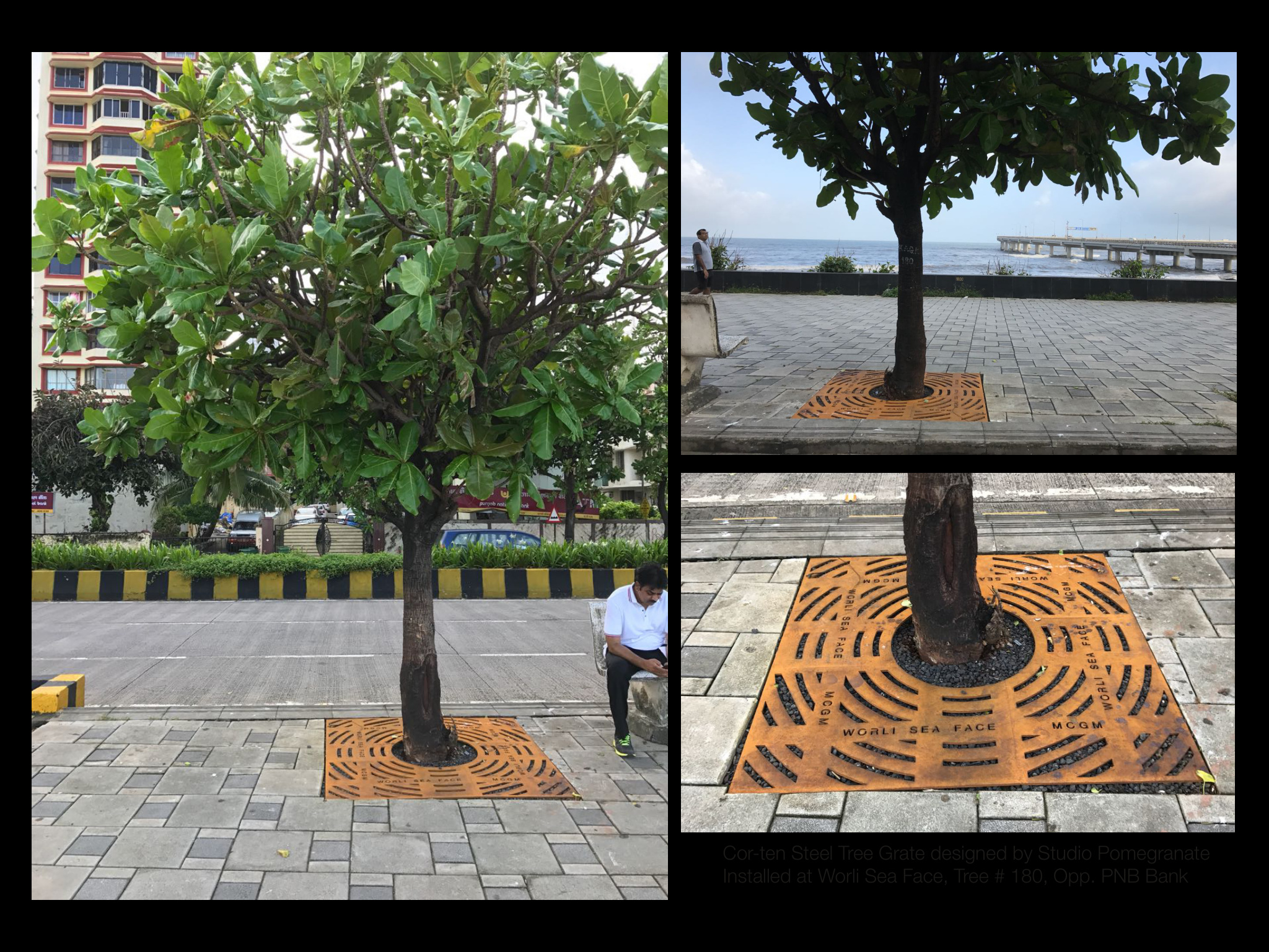 Nepeansea Road — Urban Design by Studio Pomegranate