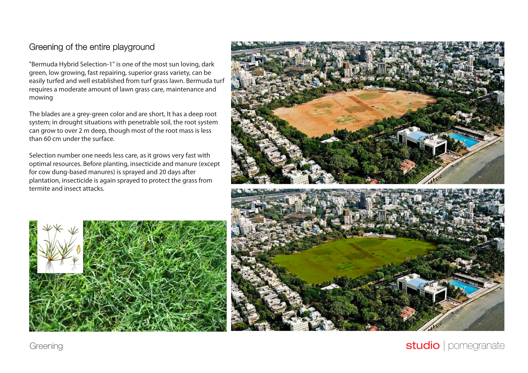 Shivaji Park, Dadar — Urban Design by Studio Pomegranate